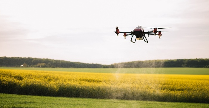 Agriculture drone fly to sprayed fertilizer on the green tea fields, Smart farm