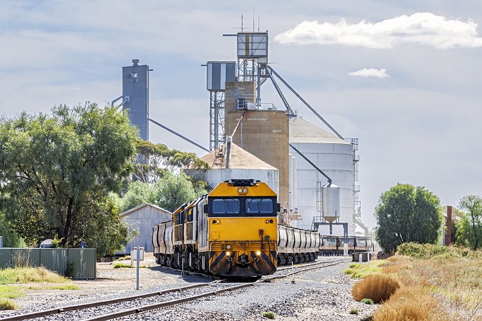 Photo of grain freight train loading grain from a silo in regional Victoria