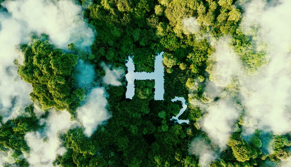 H2 symbol above a forrest