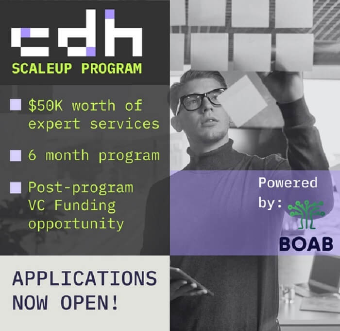 Graphic - Cremorne Digital Hub (CDH) Scaleup Program 