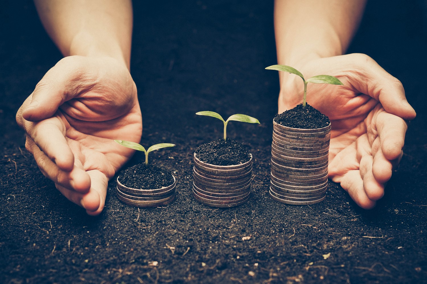 hands above sprouting shoots of coins