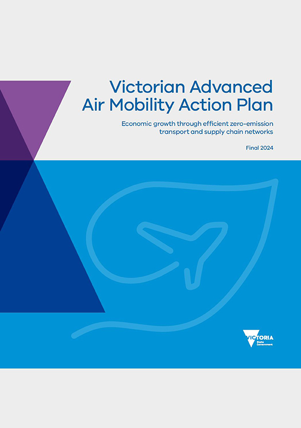 Final AAM Action Plan