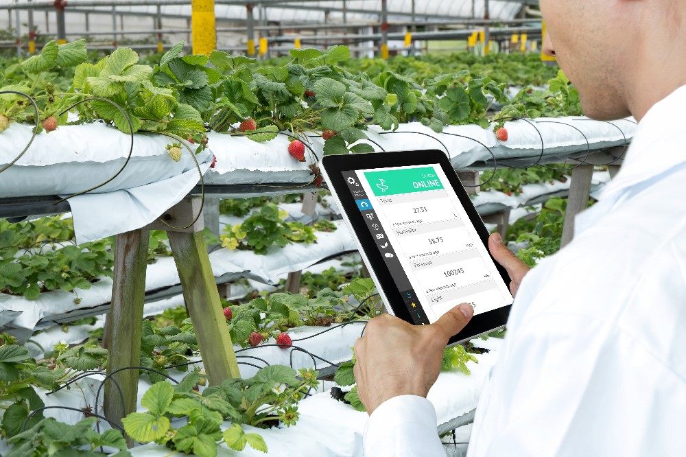 SMART FARMS