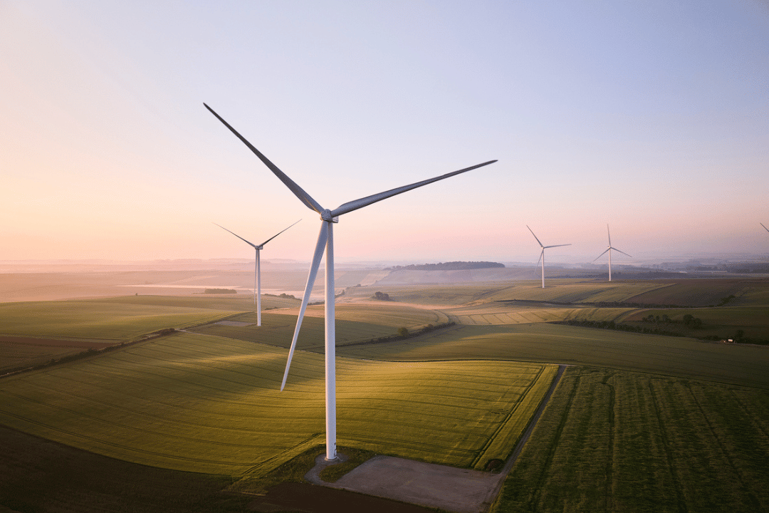 Photograph of a wind farm featuring multiple white wind turbines spread across green agricultural fields during sunrise or sunset. 